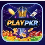PLAYPKR Game